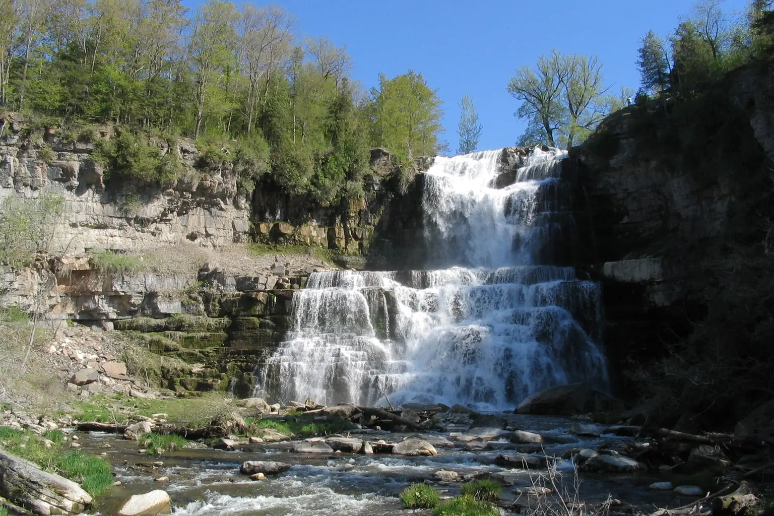 Chittenango Falls dropping through a wooded gorge
