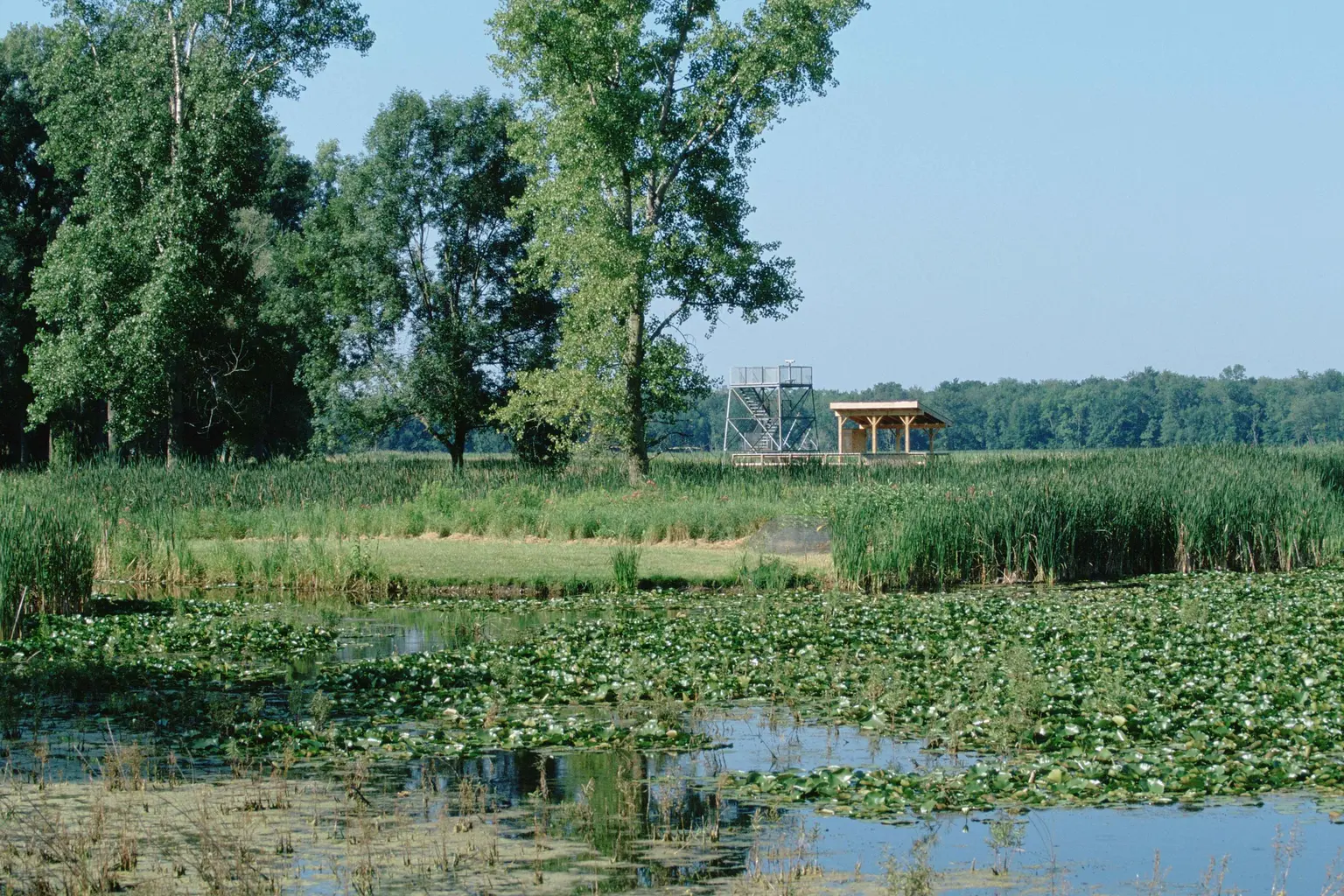 Wetlands and an observation platform at Montezuma National Wildlife Refuge