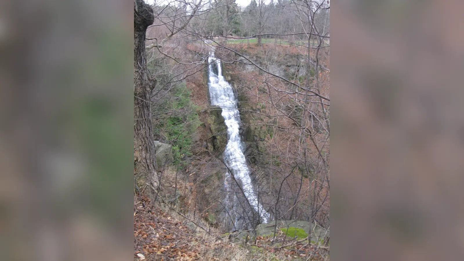 Pratt’s Falls dropping through a wooded gorge